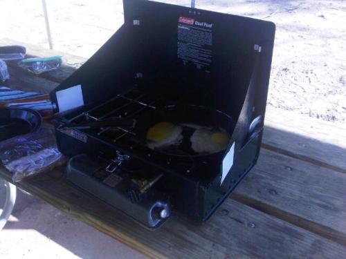 next time, check whether the camp stove is fuel or propane-powered